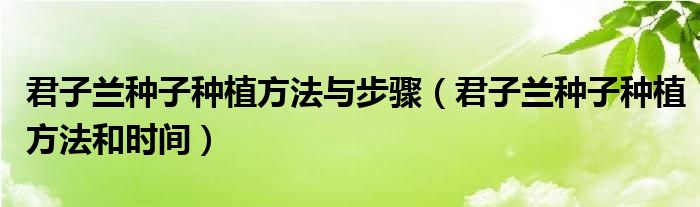 君子兰种子种植方法与步骤（君子兰种子种植方法和时间）