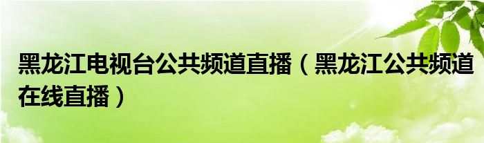 黑龙江电视台公共频道直播（黑龙江公共频道在线直播）