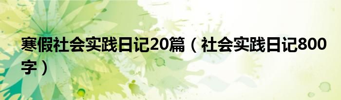 寒假社会实践日记20篇（社会实践日记800字）