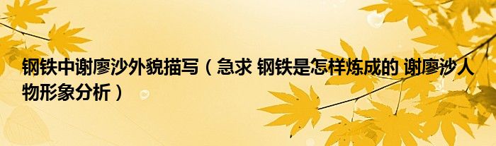 钢铁中谢廖沙外貌描写（急求 钢铁是怎样炼成的 谢廖沙人物形象分析）