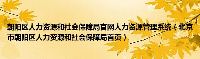 朝阳区人力资源和社会保障局官网人力资源管理系统（北京市朝阳区人力资源和社会保障局首页）