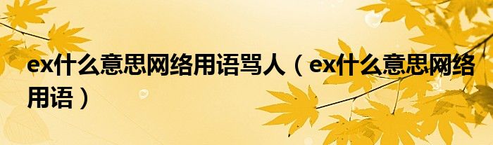 ex什么意思网络用语骂人（ex什么意思网络用语）