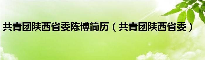 共青团陕西省委陈博简历（共青团陕西省委）