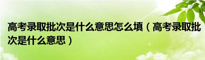 高考录取批次是什么意思怎么填（高考录取批次是什么意思）