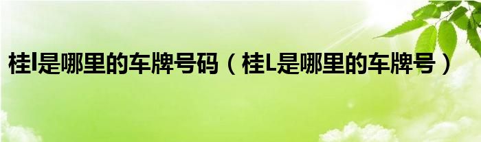 桂l是哪里的车牌号码（桂L是哪里的车牌号）