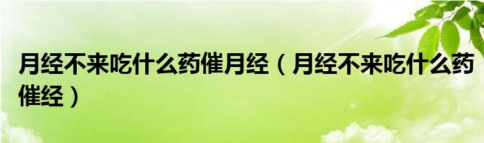 月经不来吃什么药催月经（月经不来吃什么药催经）