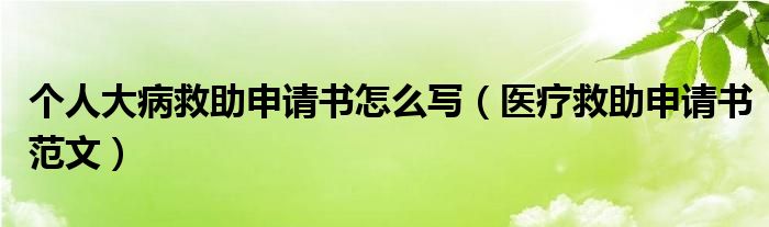 个人大病救助申请书怎么写（医疗救助申请书范文）