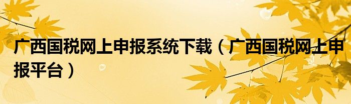 广西国税网上申报系统下载（广西国税网上申报平台）