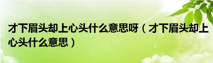 才下眉头却上心头什么意思呀（才下眉头却上心头什么意思）