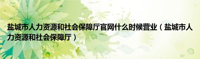 盐城市人力资源和社会保障厅官网什么时候营业（盐城市人力资源和社会保障厅）