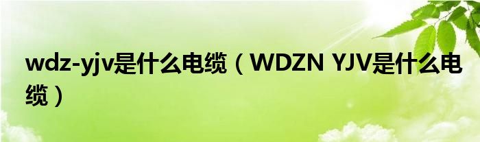 wdz-yjv是什么电缆（WDZN YJV是什么电缆）