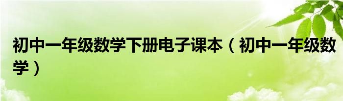 初中一年级数学下册电子课本（初中一年级数学）