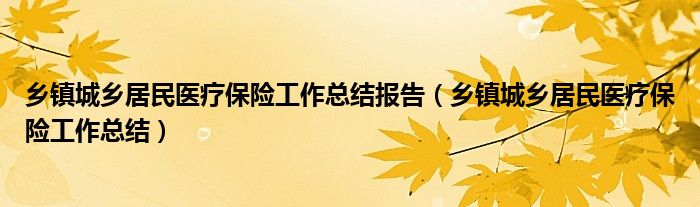 乡镇城乡居民医疗保险工作总结报告（乡镇城乡居民医疗保险工作总结）