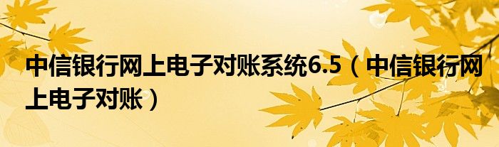 中信银行网上电子对账系统6.5（中信银行网上电子对账）