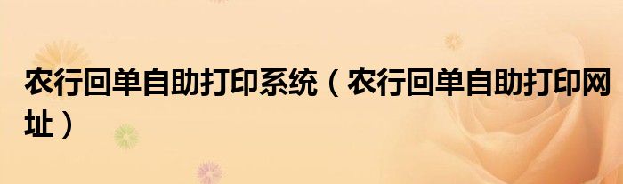 农行回单自助打印系统（农行回单自助打印网址）