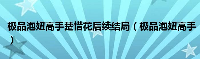 极品泡妞高手楚惜花后续结局（极品泡妞高手）