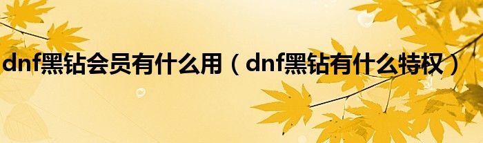 dnf黑钻会员有什么用（dnf黑钻有什么特权）