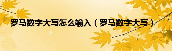 罗马数字大写怎么输入（罗马数字大写）