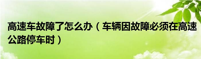 高速车故障了怎么办（车辆因故障必须在高速公路停车时）