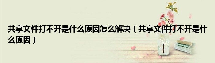 共享文件打不开是什么原因怎么解决（共享文件打不开是什么原因）