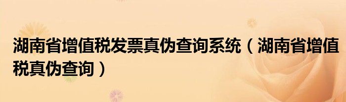 湖南省增值税发票真伪查询系统（湖南省增值税真伪查询）