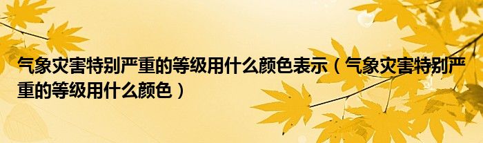 气象灾害特别严重的等级用什么颜色表示（气象灾害特别严重的等级用什么颜色）