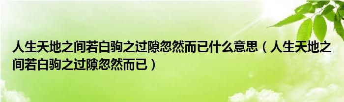 人生天地之间若白驹之过隙忽然而已什么意思（人生天地之间若白驹之过隙忽然而已）