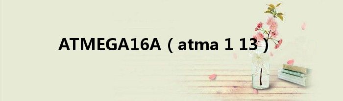 ATMEGA16A（atma 1 13）