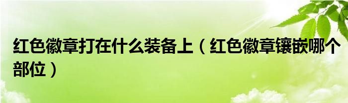 红色徽章打在什么装备上（红色徽章镶嵌哪个部位）