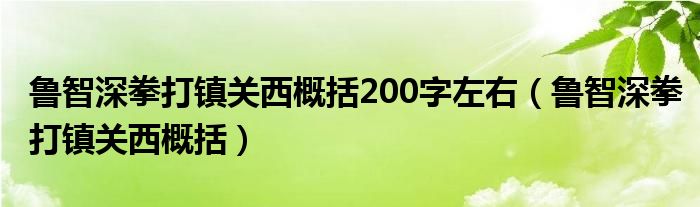 鲁智深拳打镇关西概括200字左右（鲁智深拳打镇关西概括）