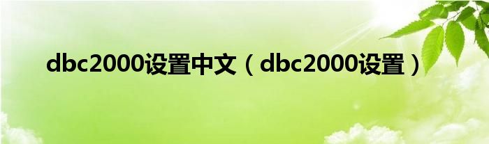 dbc2000设置中文（dbc2000设置）