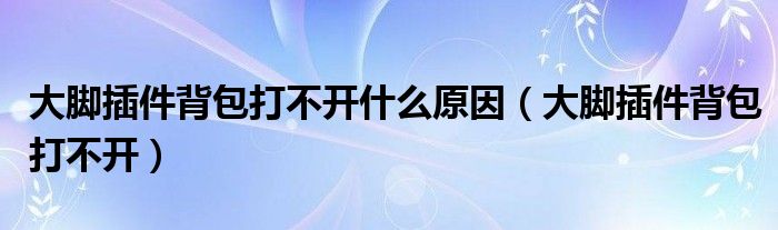 大脚插件背包打不开什么原因（大脚插件背包打不开）