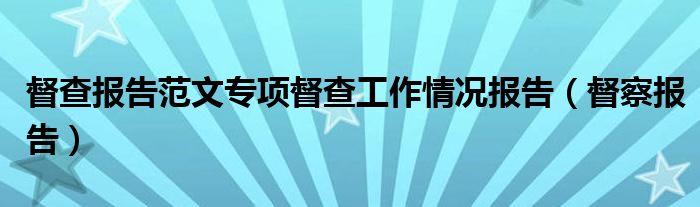 督查报告范文专项督查工作情况报告（督察报告）