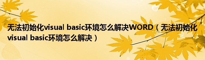 无法初始化visual basic环境怎么解决WORD（无法初始化visual basic环境怎么解决）