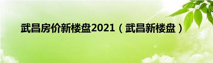 武昌房价新楼盘2021（武昌新楼盘）