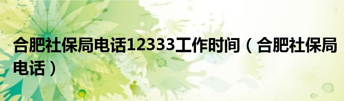 合肥社保局电话12333工作时间（合肥社保局电话）