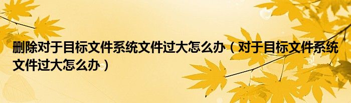 删除对于目标文件系统文件过大怎么办（对于目标文件系统文件过大怎么办）