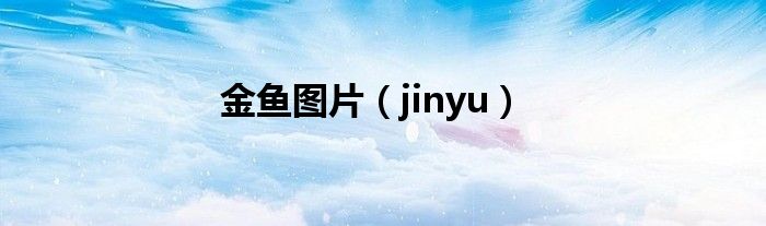 金鱼图片（jinyu）