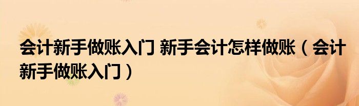 会计新手做账入门 新手会计怎样做账（会计新手做账入门）