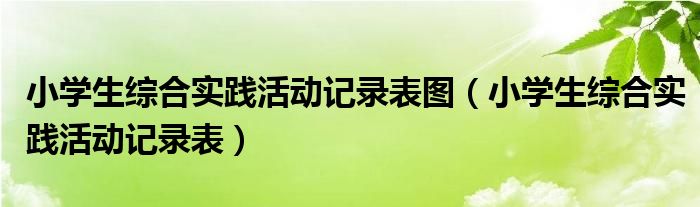 小学生综合实践活动记录表图（小学生综合实践活动记录表）