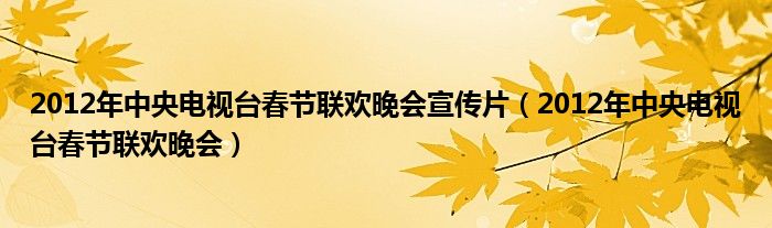 2012年中央电视台春节联欢晚会宣传片（2012年中央电视台春节联欢晚会）