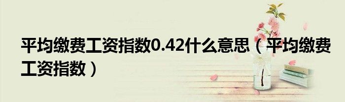 平均缴费工资指数0.42什么意思（平均缴费工资指数）