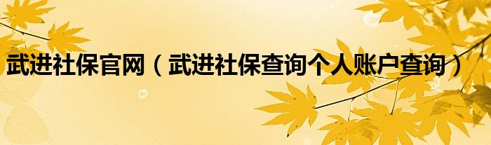 武进社保官网（武进社保查询个人账户查询）