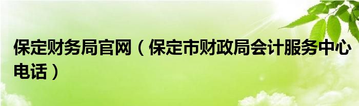 保定财务局官网（保定市财政局会计服务中心电话）