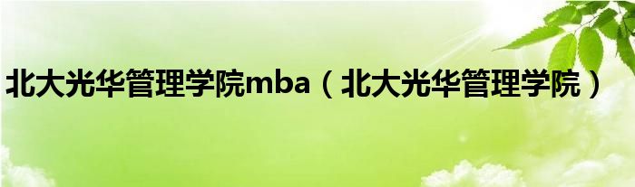 北大光华管理学院mba（北大光华管理学院）