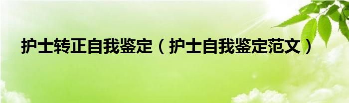 护士转正自我鉴定（护士自我鉴定范文）