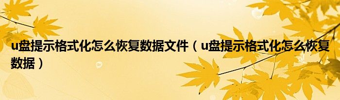 u盘提示格式化怎么恢复数据文件（u盘提示格式化怎么恢复数据）