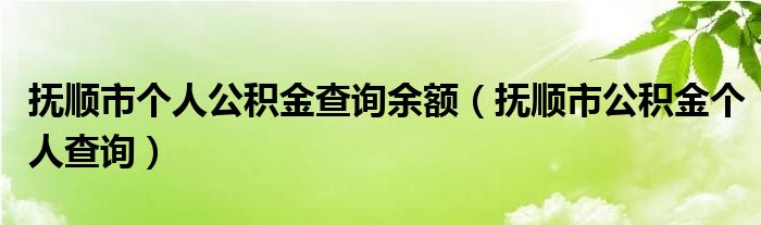 抚顺市个人公积金查询余额（抚顺市公积金个人查询）