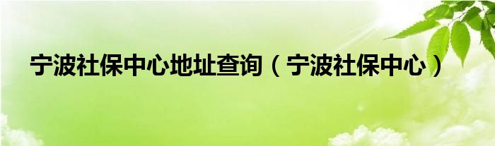 宁波社保中心地址查询（宁波社保中心）