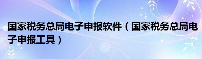 国家税务总局电子申报软件（国家税务总局电子申报工具）